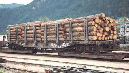 Stake Wagon